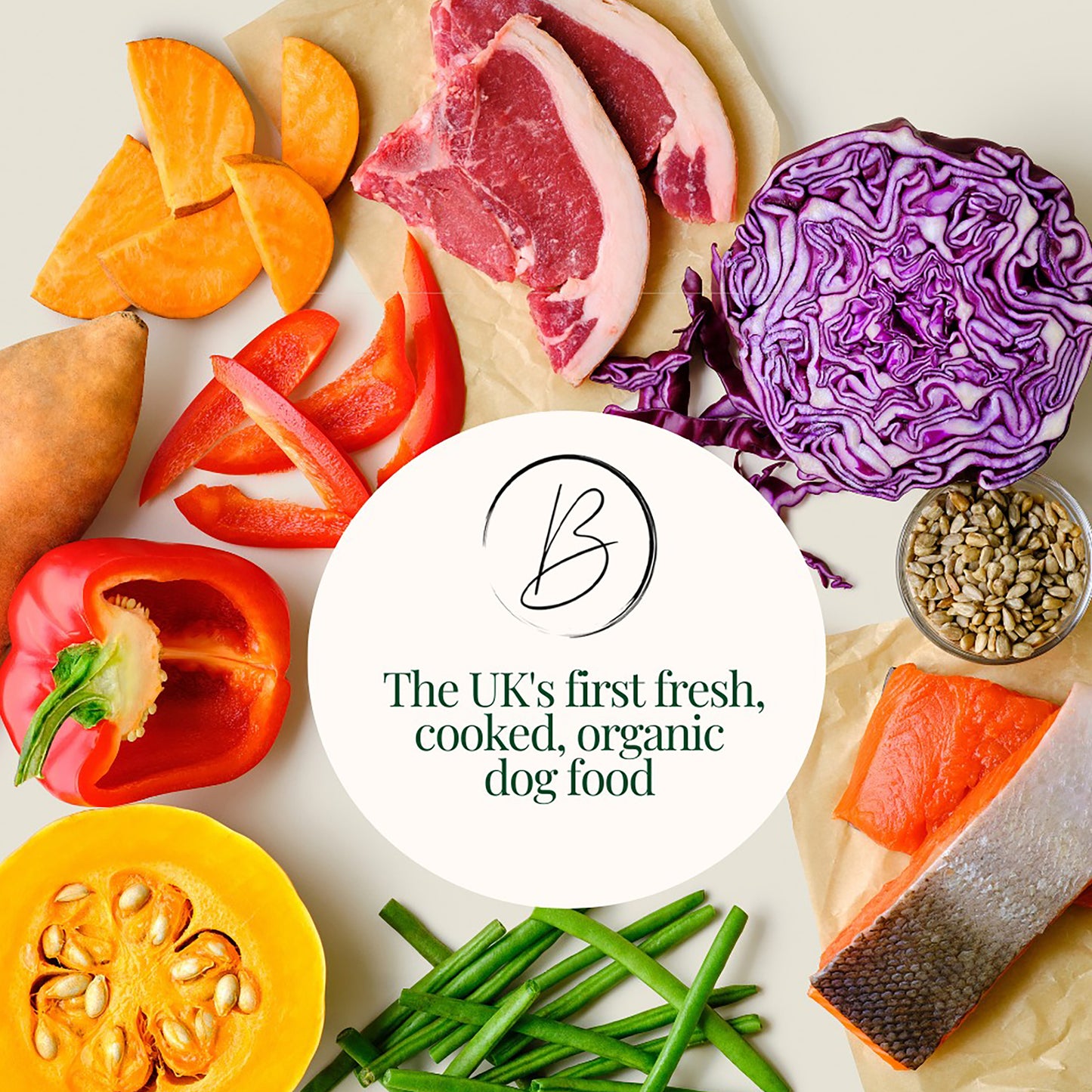 Certified organic fresh dog food ingredients surrounding the Bear & Birdy logo, with the text 'The UK's first fresh, cooked, organic dog food' underneath.