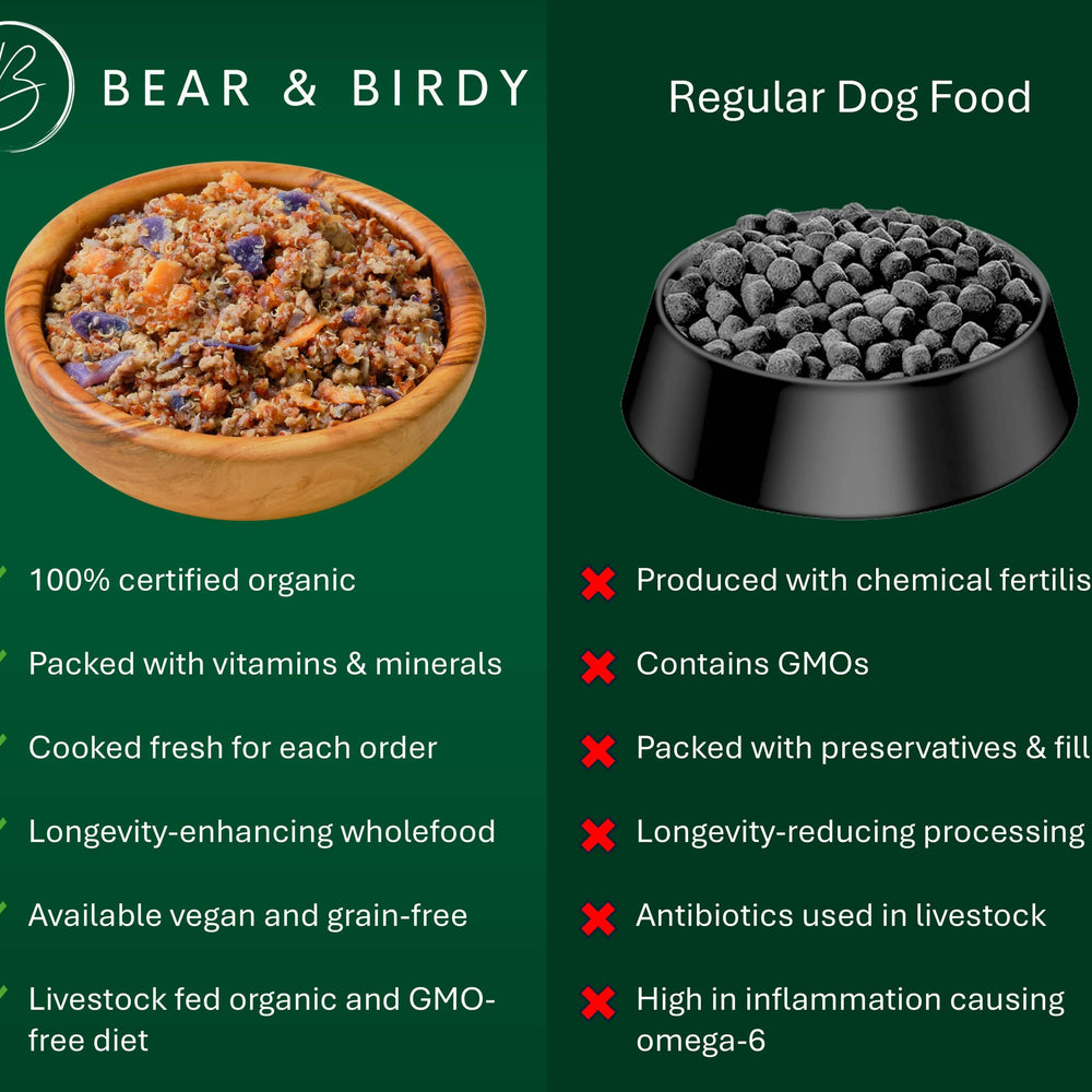 The left side depicts organic dog food in a natural bowl and lists the benefits of this type of diet. The right side depicts typical kibble dog food and lists the risks of this type of diet.
