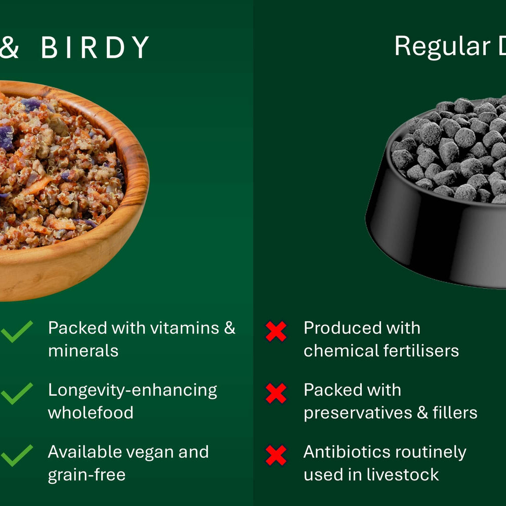 The left side depicts organic dog food in a natural bowl and lists the benefits of this type of diet. The right side depicts typical kibble dog food and lists the risks of this type of diet.