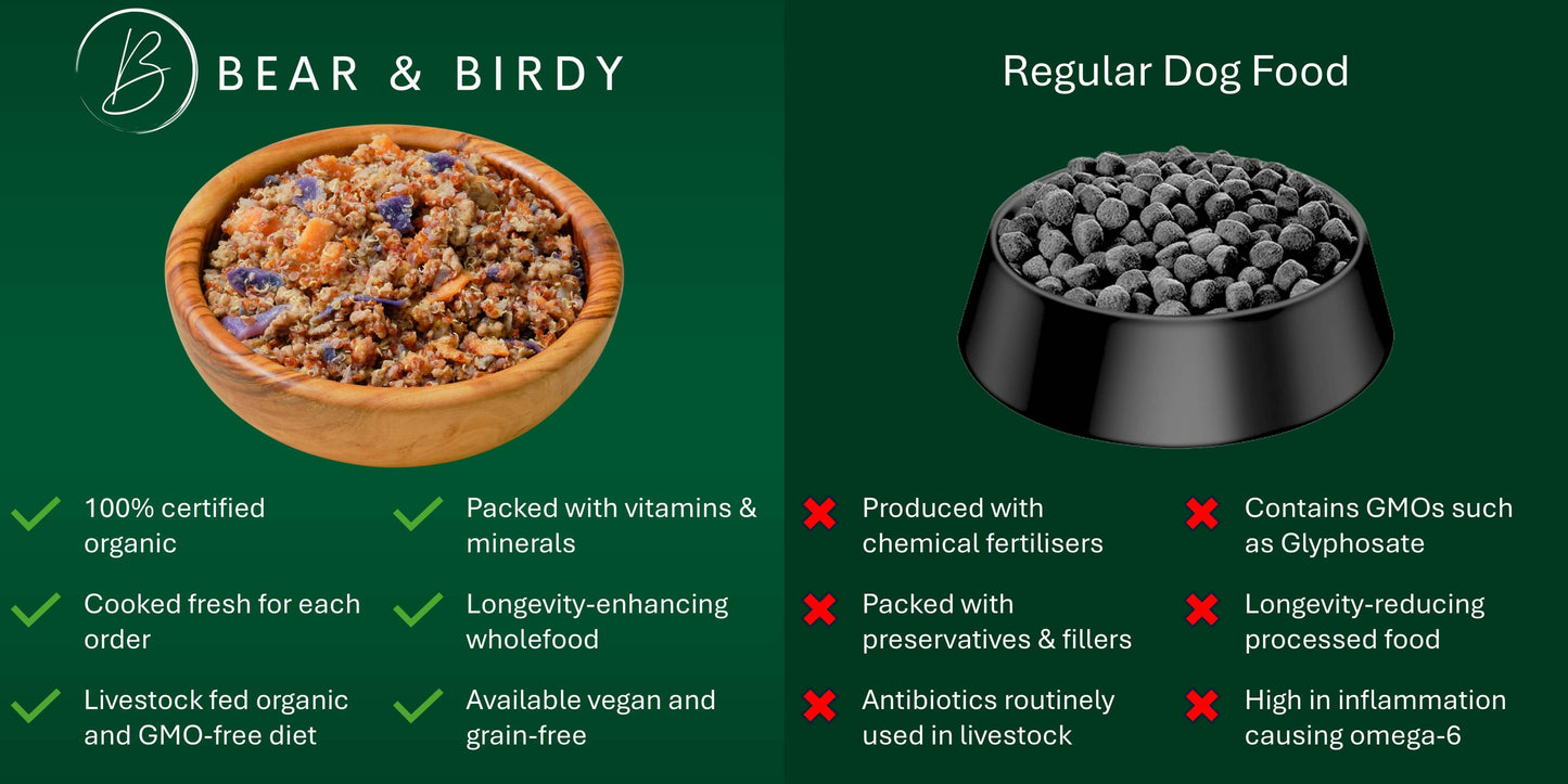 The left side depicts organic dog food in a natural bowl and lists the benefits of this type of diet. The right side depicts typical kibble dog food and lists the risks of this type of diet.